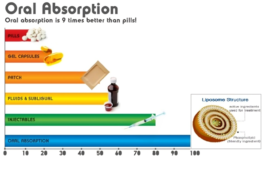 Liposomal Glutathione THYROID HEALTH High Potency | 16oz Bottle(1,200mg/oz) Exp: 12.2024