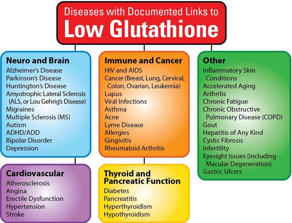 5+1 FREE Liposomal Glutathione THYROID HEALTH High Potency | 16oz Bottle(1,200mg/oz) Exp: 12.2024